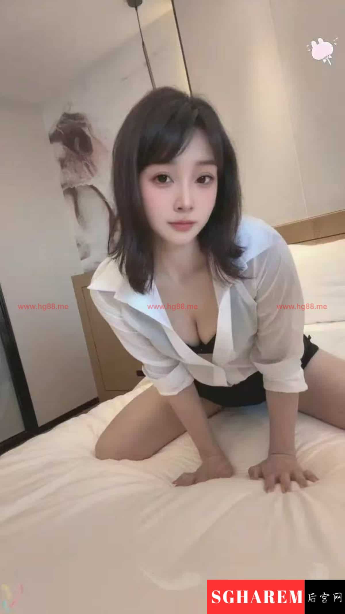 SGHarem Escorts Gallery 4